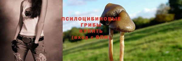 метадон Алзамай